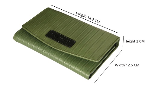 PASSPORT POUCH; PASSPORT BAG; TRAVEL POUCH; PASSPORT HOLDER; TRAVEL WALLET; BRAND - KAR MOTIF, ARTICLE NUMBER - KM 002, COLOUR - GREEN STRIPE